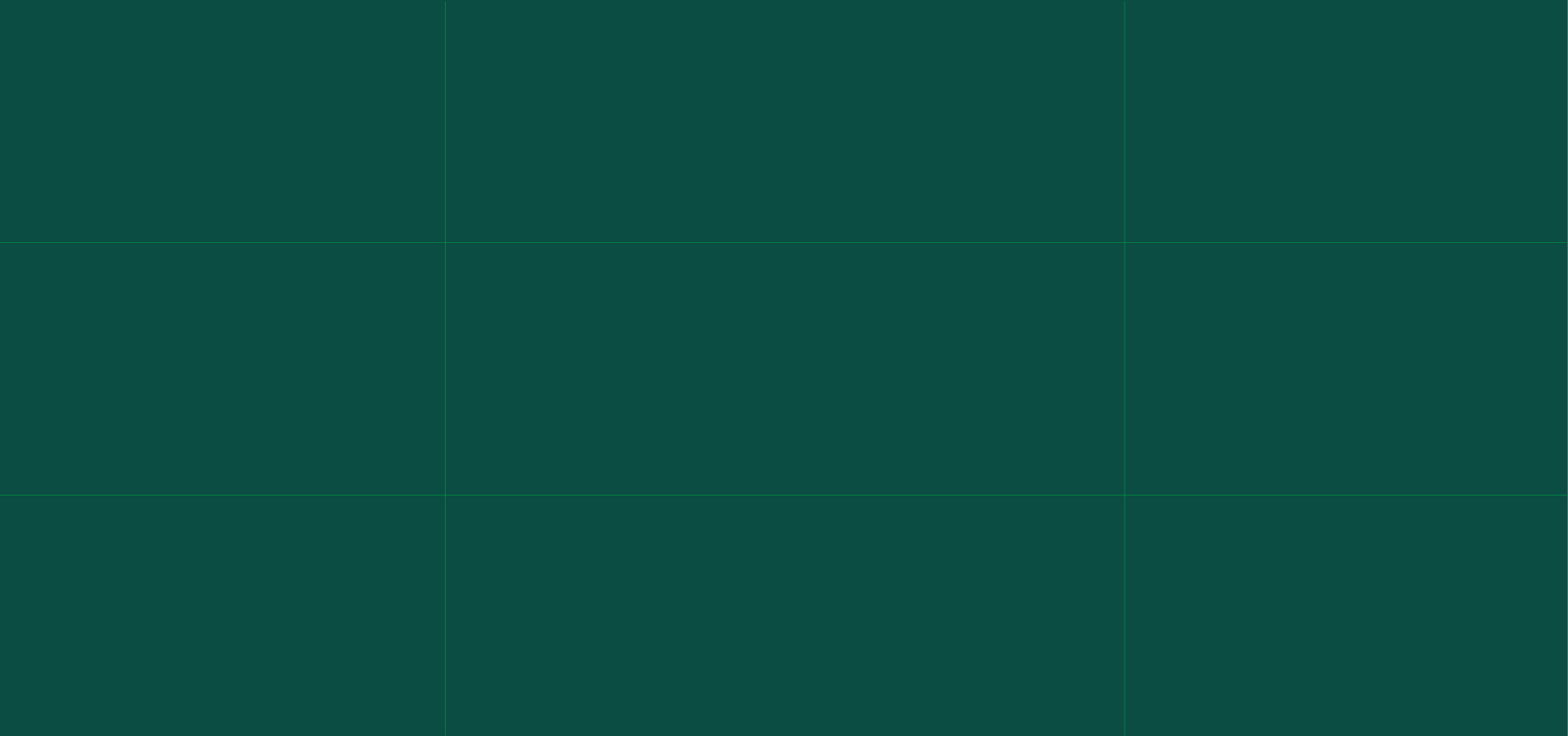 斯兰特案例_03.gif