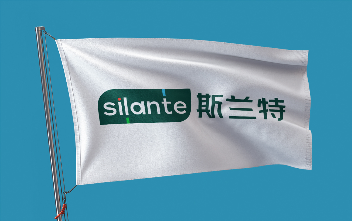 斯兰特案例_15.jpg